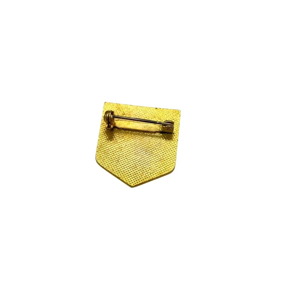 Vintage Ski Valley Lost Areas Naples New York‎ Enamel Pin Gold Tone Shield
